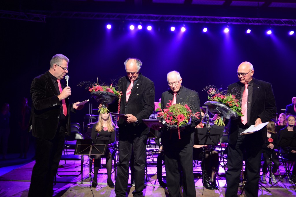 ../Images/Jubileumconcert 100 jaar Harpe Davids 159.jpg